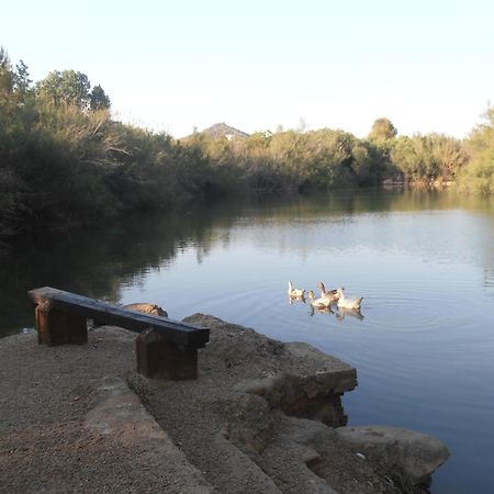 Hotel Oasis Country Park Rugat Exterior foto