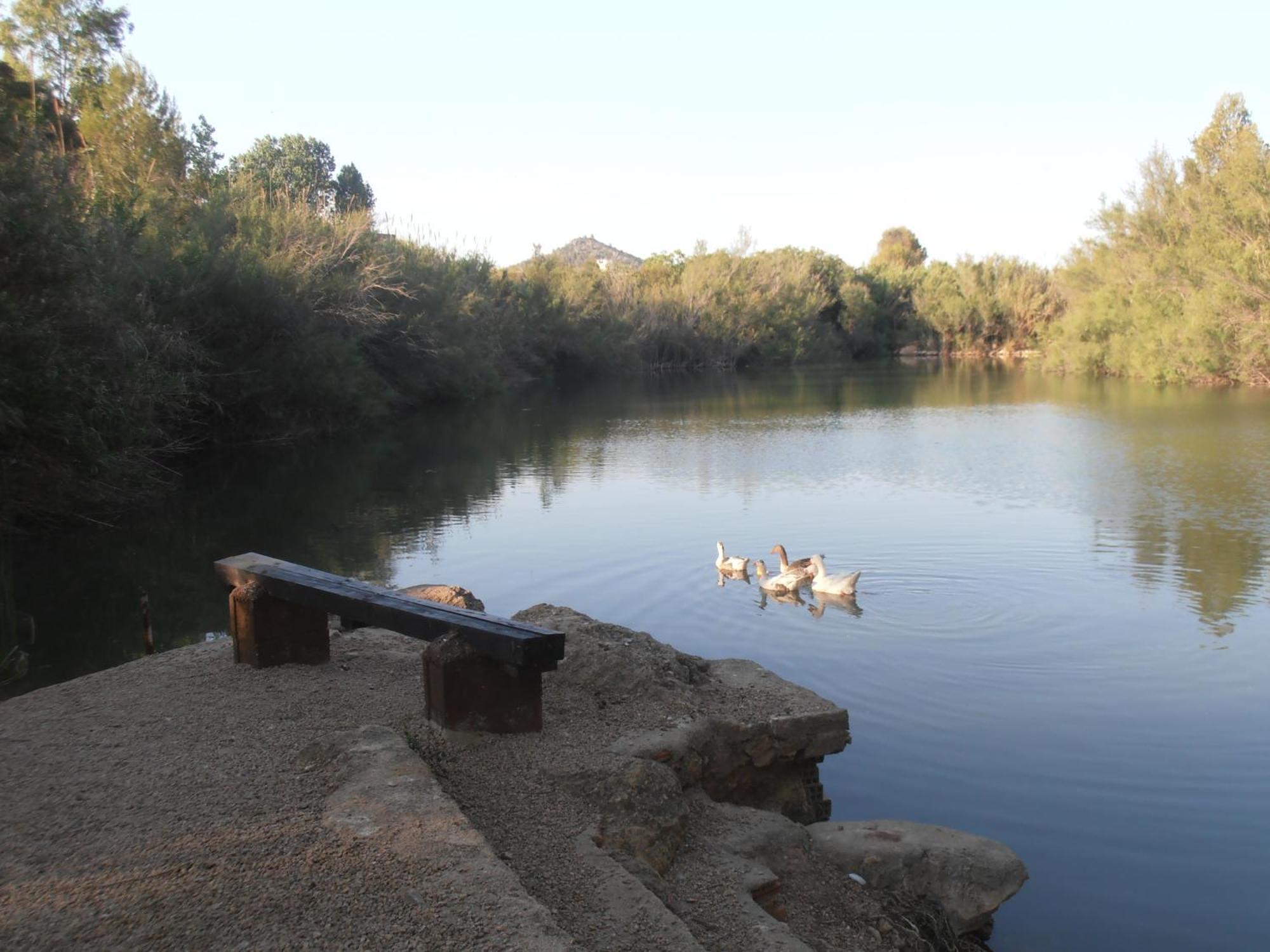 Hotel Oasis Country Park Rugat Exterior foto